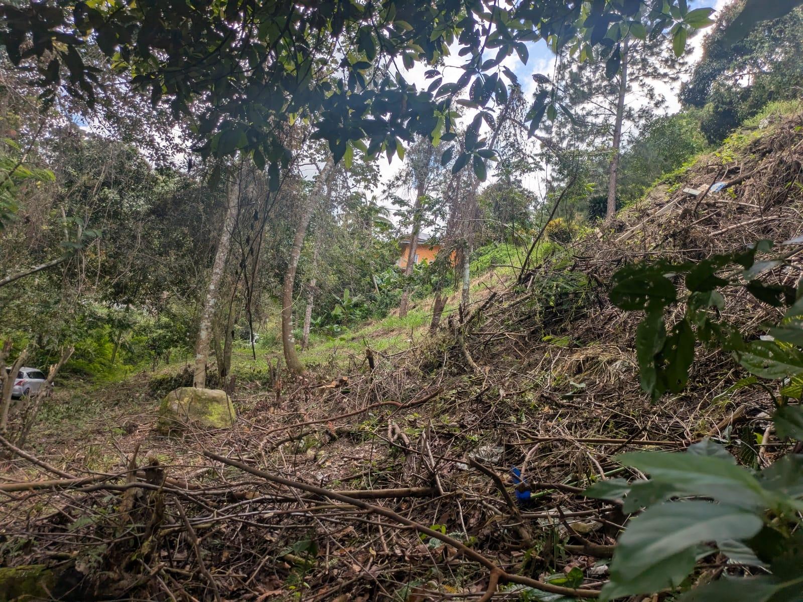 Second image of Land-1a & 1b Dublin Castle, Craig Hill in Gordon Town P.O., St. Andrew, Jamaica - property is For Sale