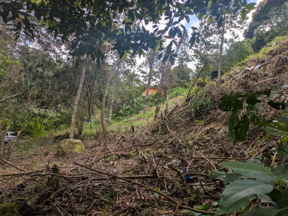 Second image of Land-1a & 1b Dublin Castle, Craig Hill in Gordon Town P.O., St. Andrew, Jamaica - property is For Sale