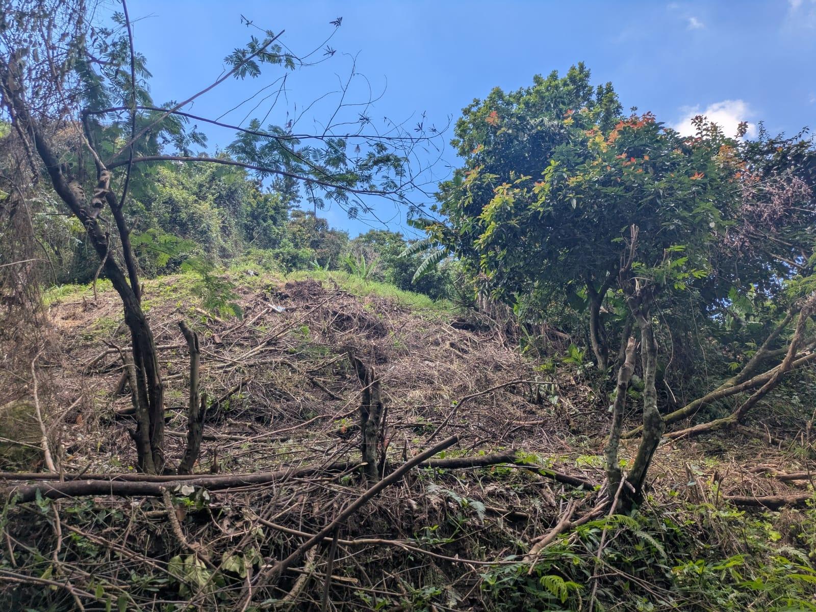 Third image of Land-1a & 1b Dublin Castle, Craig Hill in Gordon Town P.O., St. Andrew, Jamaica - property is For Sale