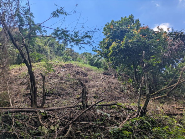 Third image of Land-1a & 1b Dublin Castle, Craig Hill in Gordon Town P.O., St. Andrew, Jamaica - property is For Sale