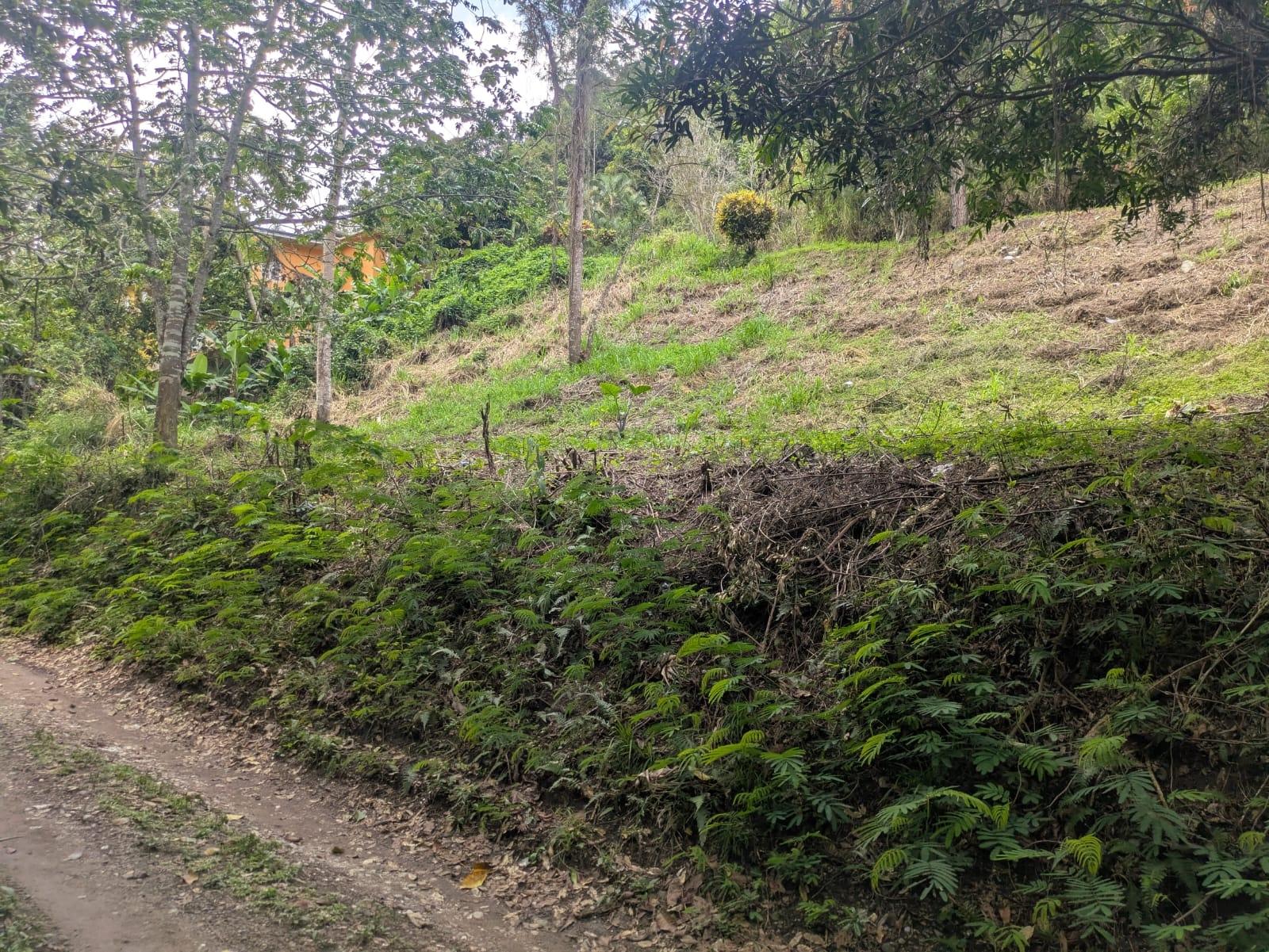 Fourth image of Land-1a & 1b Dublin Castle, Craig Hill in Gordon Town P.O., St. Andrew, Jamaica - property is For Sale