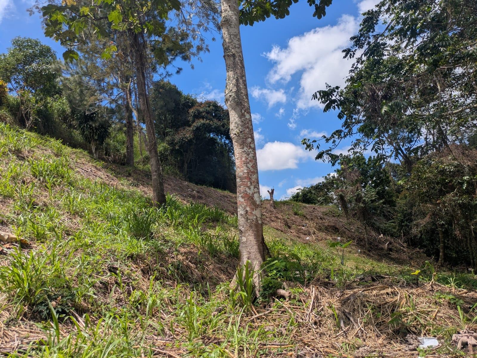 Fifth image of Land-1a & 1b Dublin Castle, Craig Hill in Gordon Town P.O., St. Andrew, Jamaica - property is For Sale