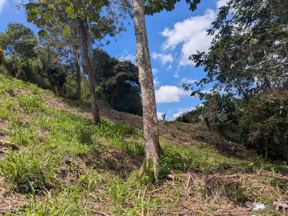 Fifth image of Land-1a & 1b Dublin Castle, Craig Hill in Gordon Town P.O., St. Andrew, Jamaica - property is For Sale