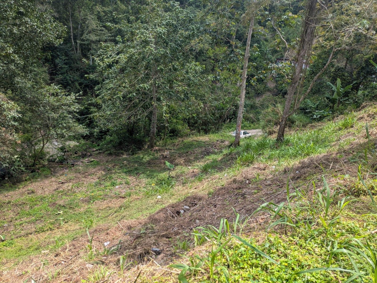 Sixth image of Land-1a & 1b Dublin Castle, Craig Hill in Gordon Town P.O., St. Andrew, Jamaica - property is For Sale