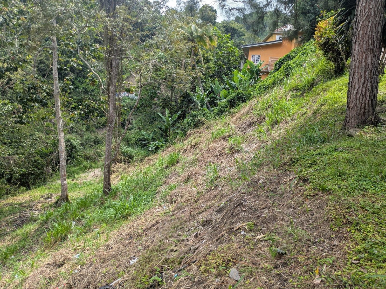 Seventh image of Land-1a & 1b Dublin Castle, Craig Hill in Gordon Town P.O., St. Andrew, Jamaica - property is For Sale