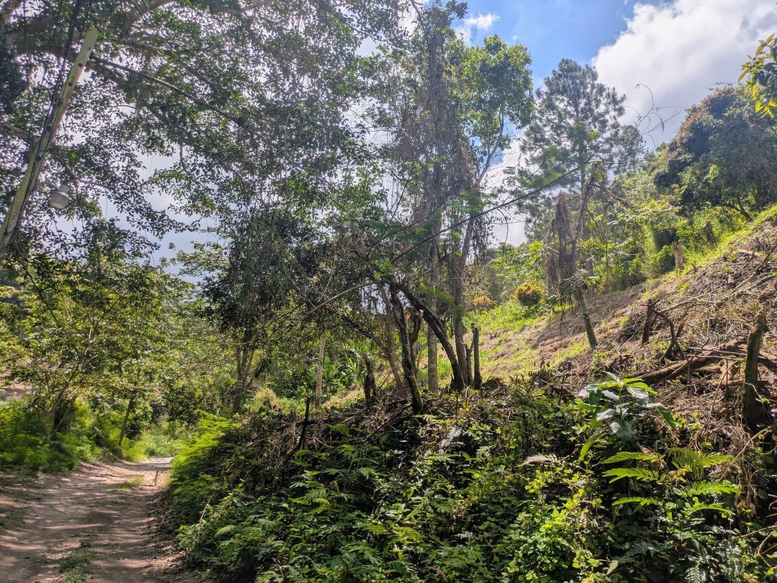 Eighth image of Land-1a & 1b Dublin Castle, Craig Hill in Gordon Town P.O., St. Andrew, Jamaica - property is For Sale