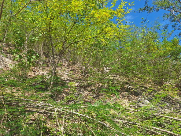 Second image of Lot 125 Cane Wood Close in Bull Bay P.O., St. Andrew, Jamaica - property is For Sale