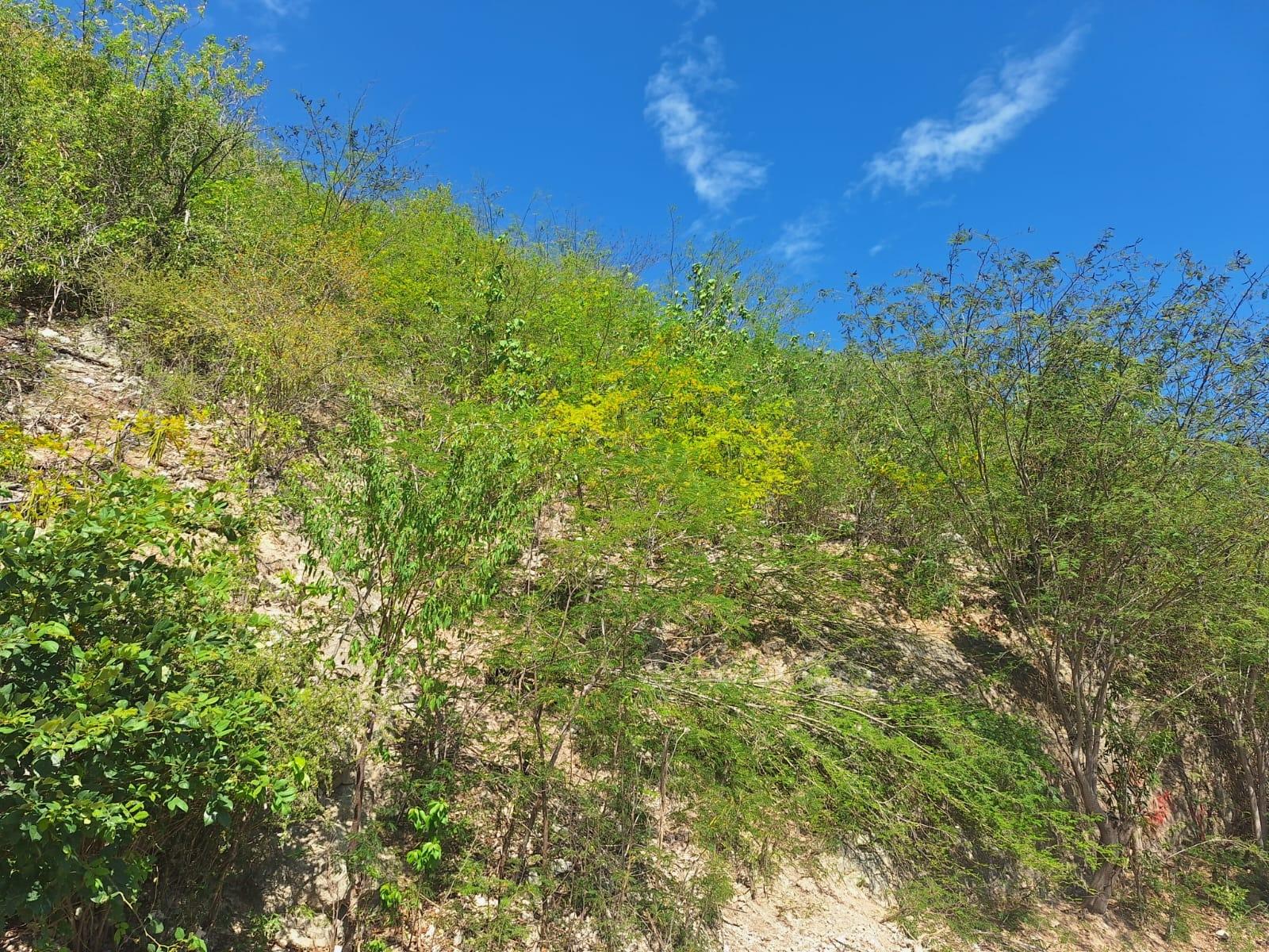 Third image of Lot 125 Cane Wood Close in Bull Bay P.O., St. Andrew, Jamaica - property is For Sale