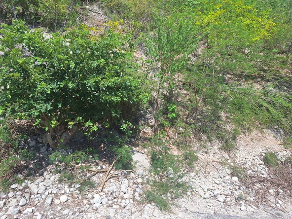 Fourth image of Lot 125 Cane Wood Close in Bull Bay P.O., St. Andrew, Jamaica - property is For Sale