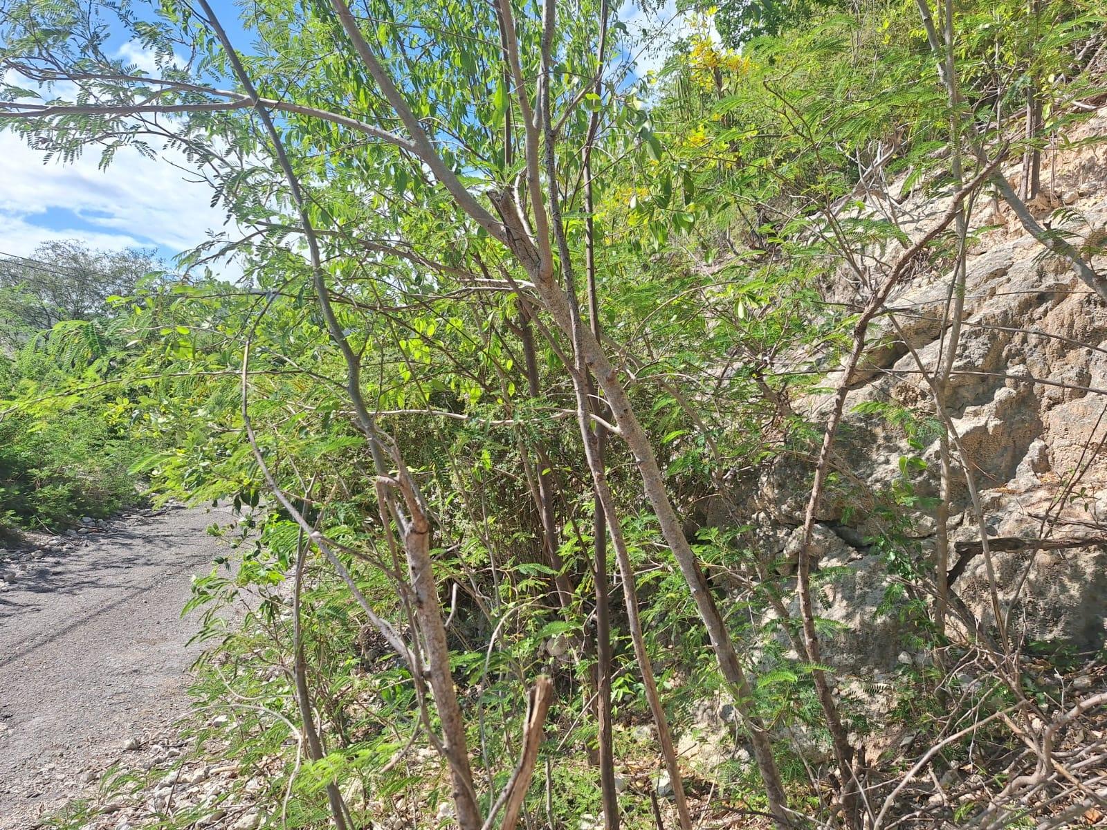 Fifth image of Lot 125 Cane Wood Close in Bull Bay P.O., St. Andrew, Jamaica - property is For Sale