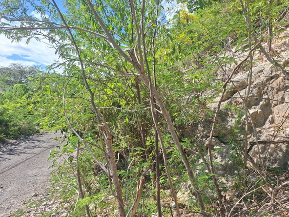 Fifth image of Lot 125 Cane Wood Close in Bull Bay P.O., St. Andrew, Jamaica - property is For Sale