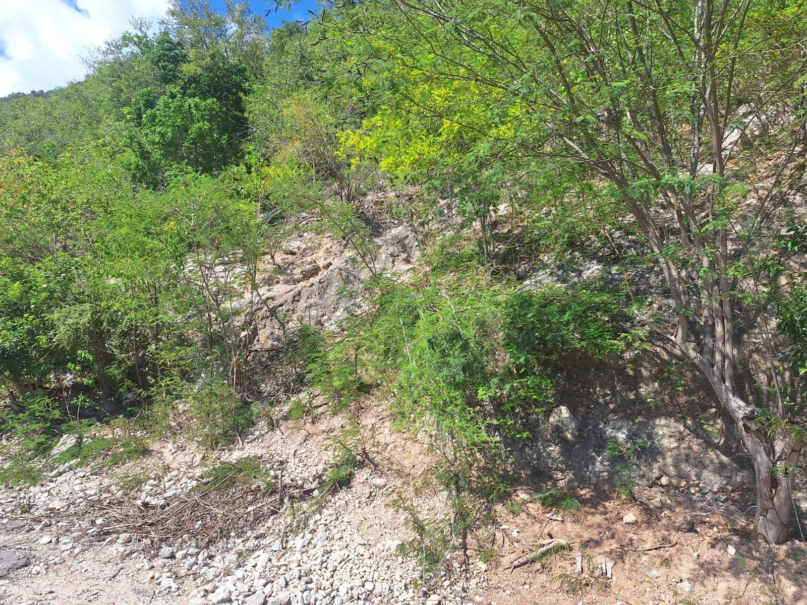 Sixth image of Lot 125 Cane Wood Close in Bull Bay P.O., St. Andrew, Jamaica - property is For Sale