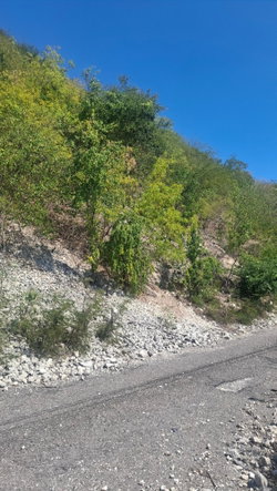 Ninth image of Lot 125 Cane Wood Close in Bull Bay P.O., St. Andrew, Jamaica - property is For Sale