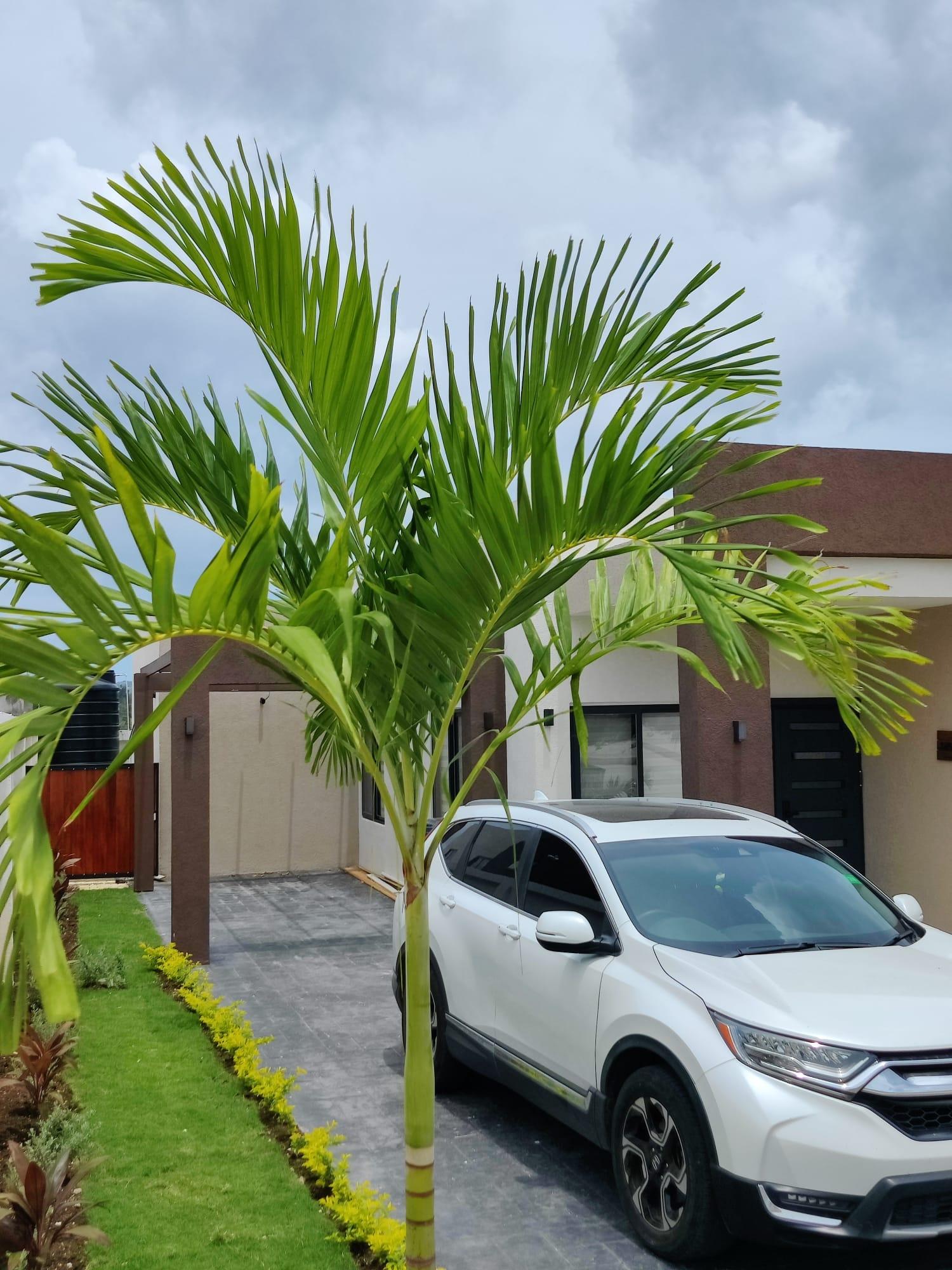First image of 42 South Beach Blvd in Ocho Rios, St. Ann, Jamaica - property is For Sale