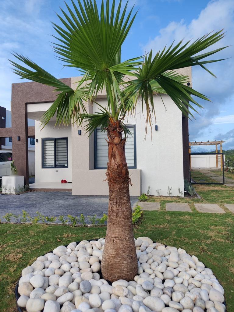 Third image of 42 South Beach Blvd in Ocho Rios, St. Ann, Jamaica - property is For Sale