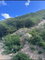 First image of Rest Haven Bull Bay, St.andrew in Bull Bay P.O., St. Andrew, Jamaica - property is For Sale