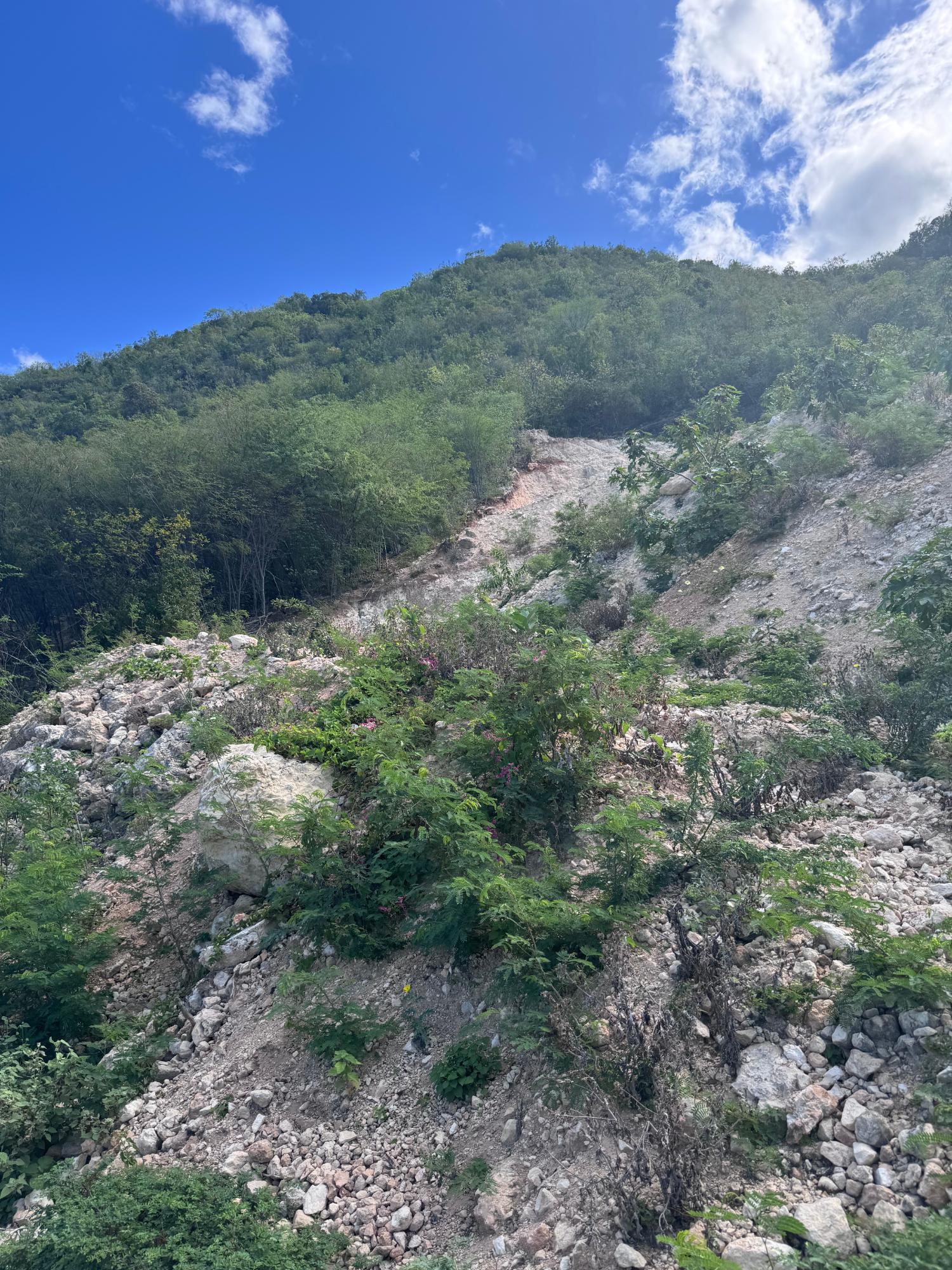 Third image of Rest Haven Bull Bay, St.andrew in Bull Bay P.O., St. Andrew, Jamaica - property is For Sale
