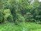 First image of Lindos Hill, Withorn in Whithorn, Westmoreland, Jamaica - property is For Sale