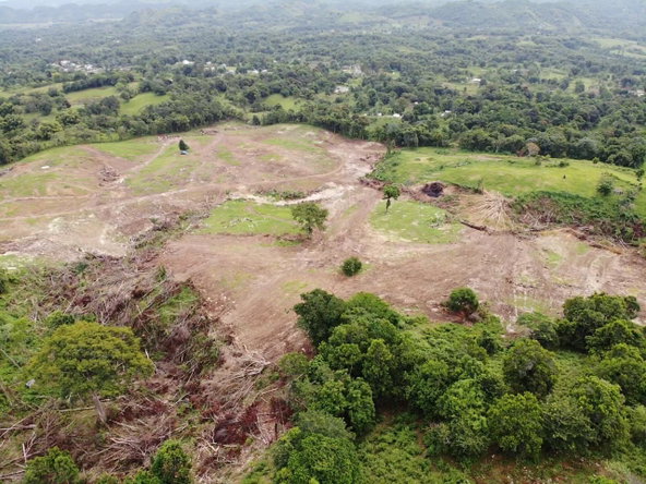 First image of Darliston, Westmoreland in Darliston, Westmoreland, Jamaica - property is For Sale