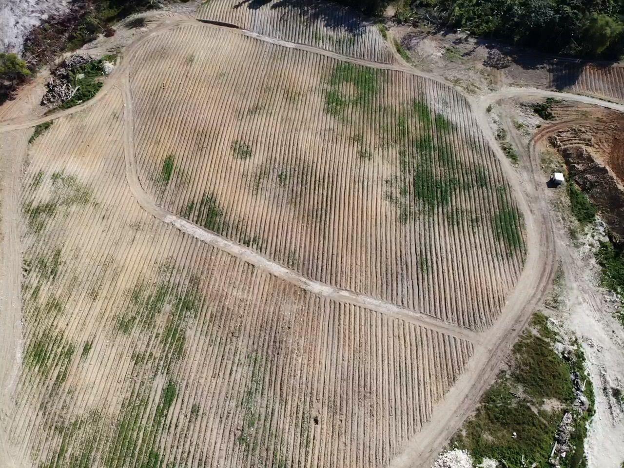Second image of Darliston, Westmoreland in Darliston, Westmoreland, Jamaica - property is For Sale