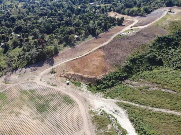 Fourth image of Darliston, Westmoreland in Darliston, Westmoreland, Jamaica - property is For Sale