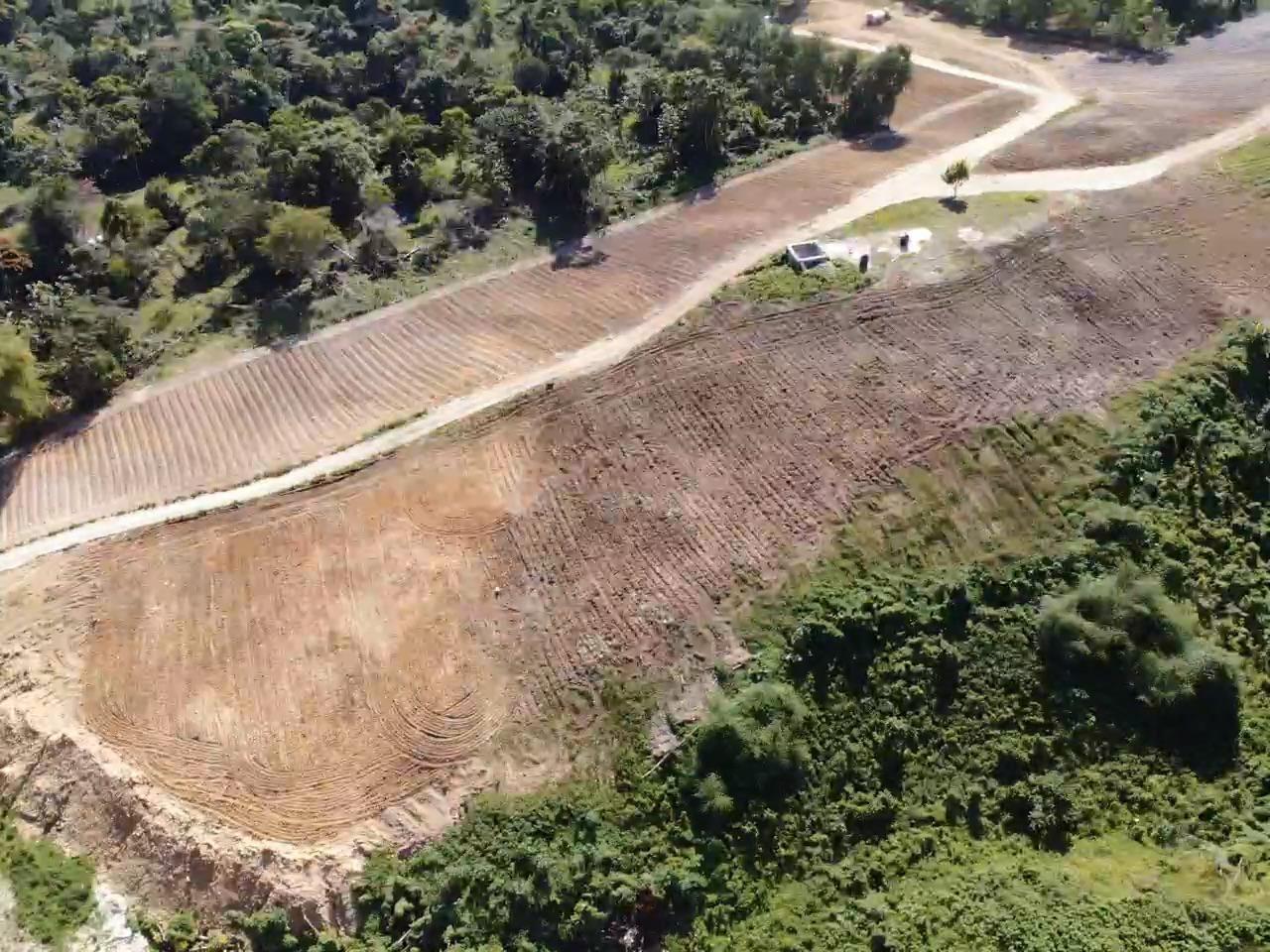 Fifth image of Darliston, Westmoreland in Darliston, Westmoreland, Jamaica - property is For Sale