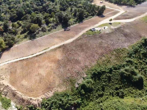 Fifth image of Darliston, Westmoreland in Darliston, Westmoreland, Jamaica - property is For Sale
