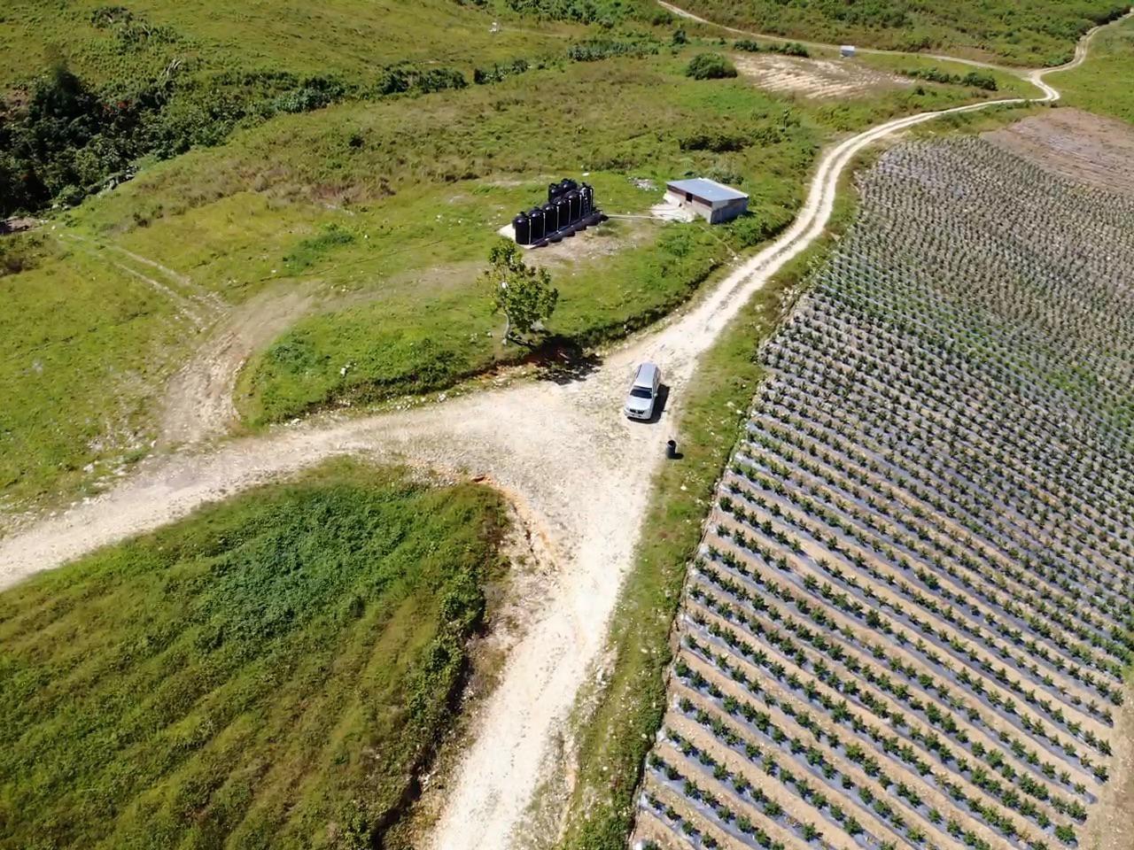 Sixth image of Darliston, Westmoreland in Darliston, Westmoreland, Jamaica - property is For Sale