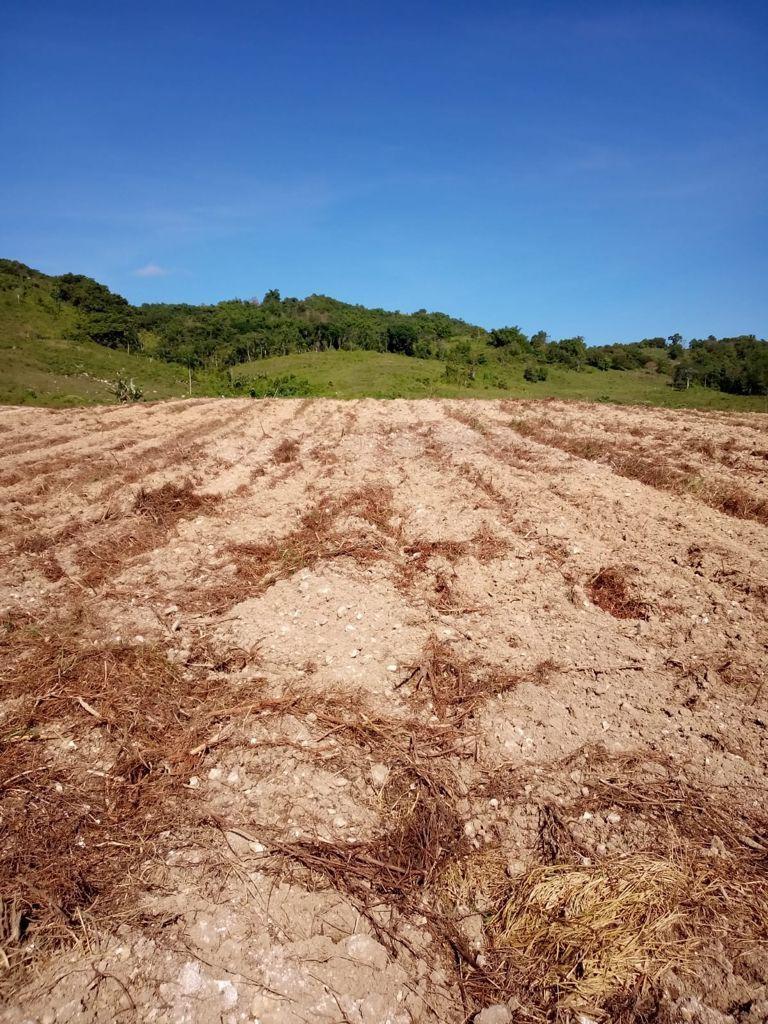 Seventh image of Darliston, Westmoreland in Darliston, Westmoreland, Jamaica - property is For Sale
