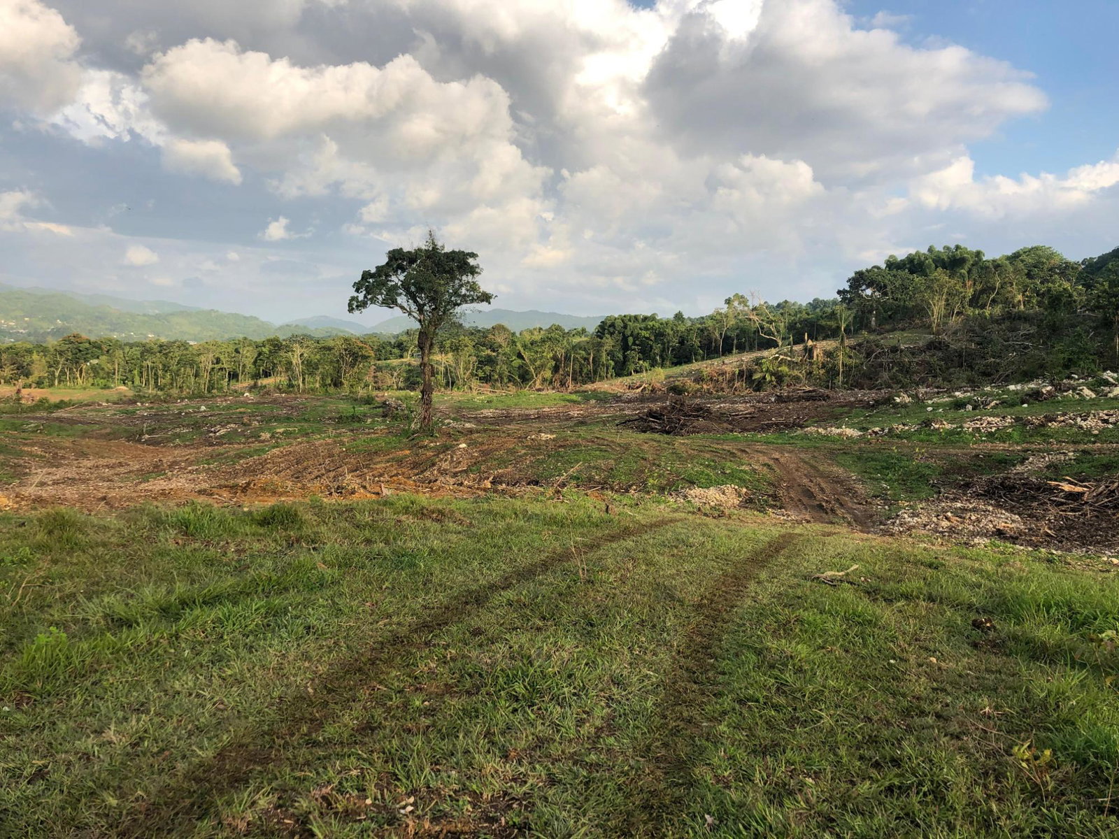 Eighth image of Darliston, Westmoreland in Darliston, Westmoreland, Jamaica - property is For Sale
