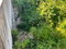 First image of 24 Wilmot Boulevard in Moneague, St. Ann, Jamaica - property is For Sale