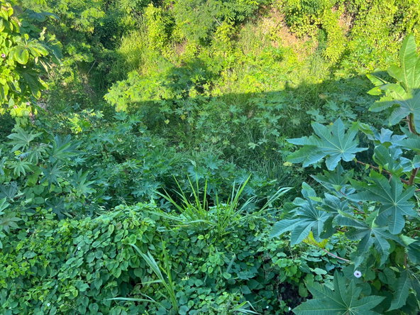 Second image of 24 Wilmot Boulevard in Moneague, St. Ann, Jamaica - property is For Sale