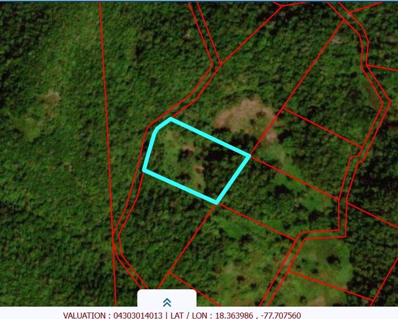 First image of Lot 193 Unity in Bunkers Hill, Trelawny, Jamaica - property is For Sale