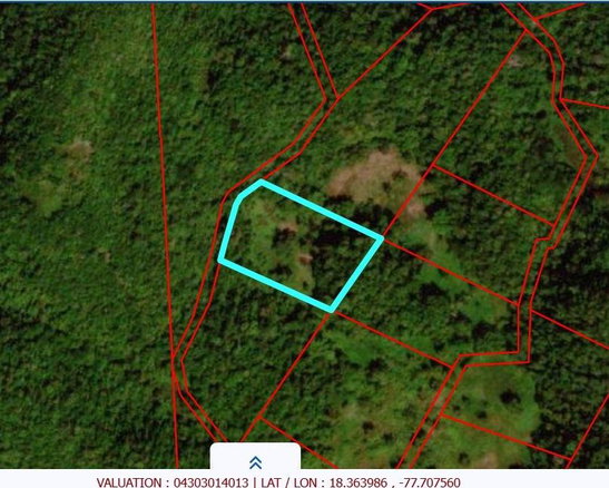 First image of Lot 193 Unity in Bunkers Hill, Trelawny, Jamaica - property is For Sale
