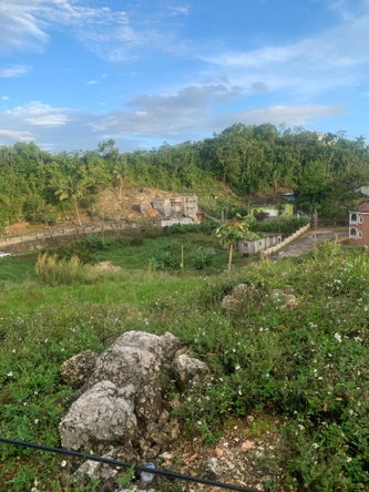 Sixth image of Salisbury Perth in Mandeville, Manchester, Jamaica - property is For Sale