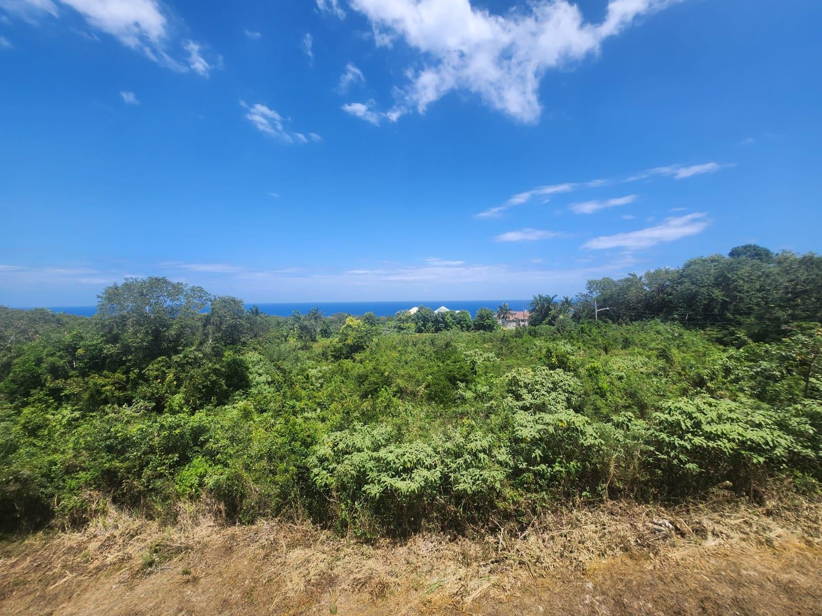 Thirteenth image of 126 Spring Farm Drive in Rose Hall, St. James, Jamaica - property is For Sale
