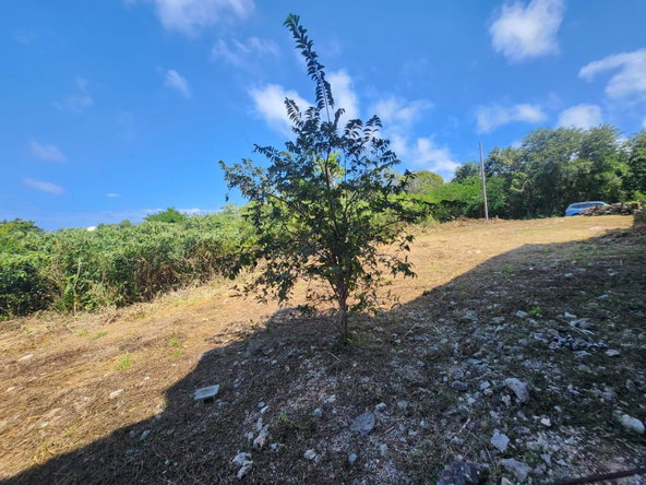 Eighteenth image of 126 Spring Farm Drive in Rose Hall, St. James, Jamaica - property is For Sale