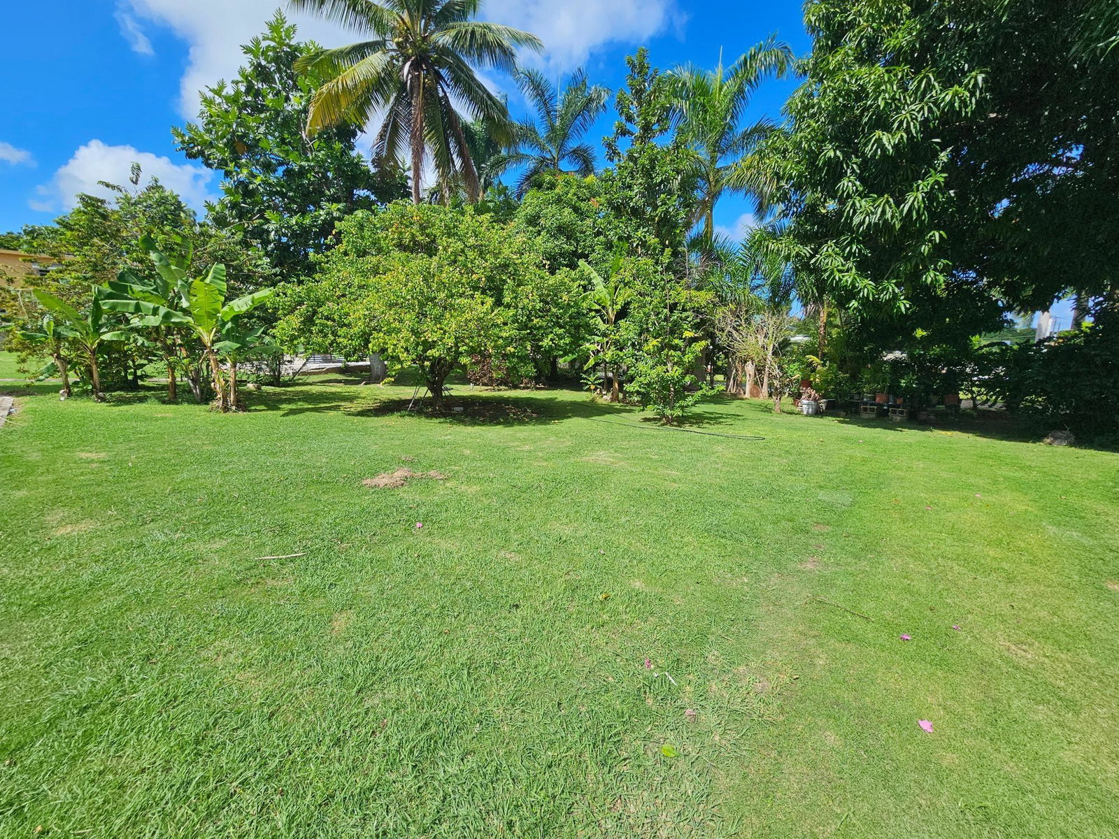 Twenty-First image of Villa Royall in Montego Bay, St. James, Jamaica - property is For Sale