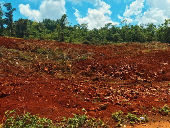 Tenth image of Windsor Forest in Ellen Street, Manchester, Jamaica - property is For Sale