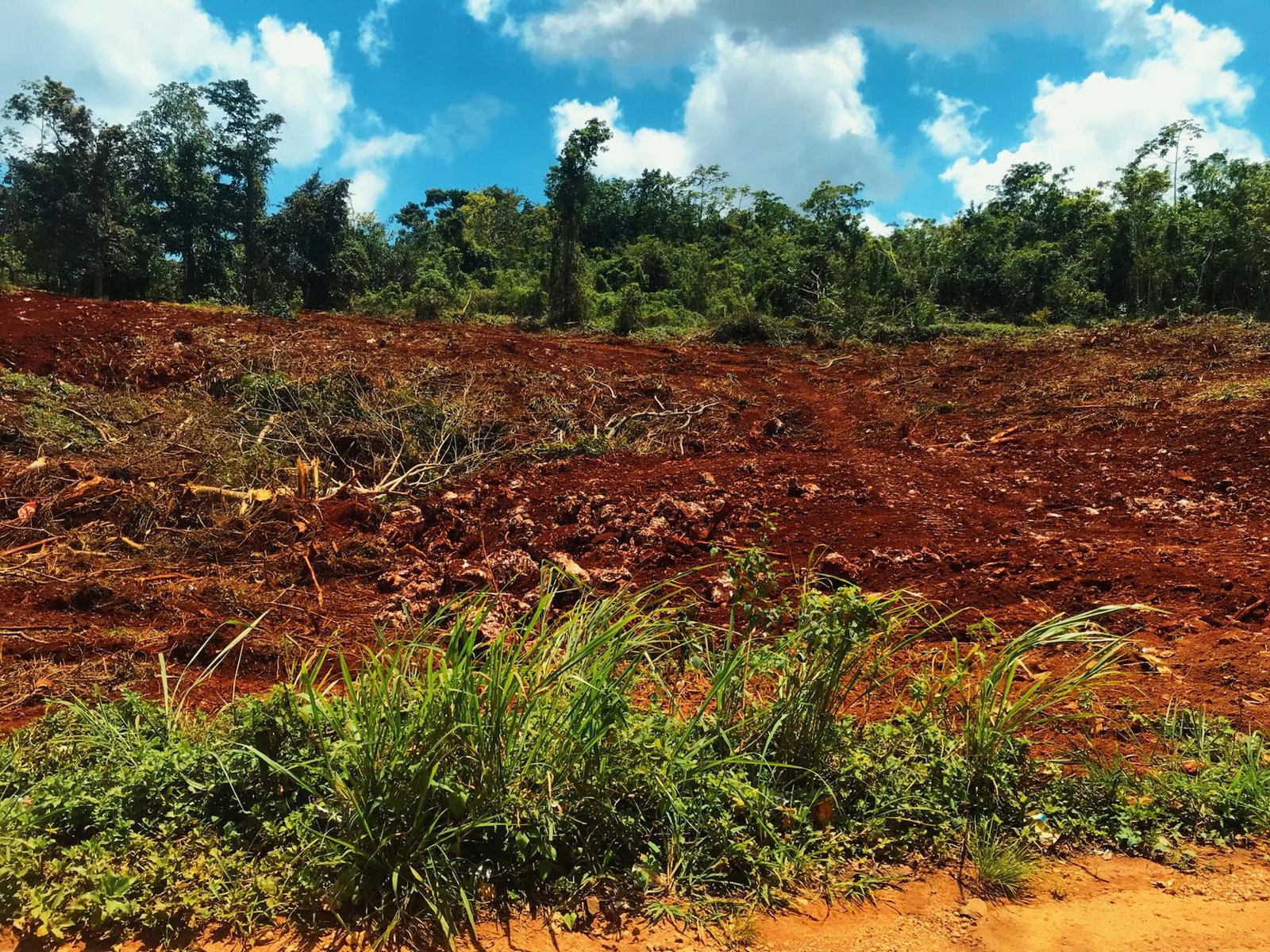 Eleventh image of Windsor Forest in Ellen Street, Manchester, Jamaica - property is For Sale