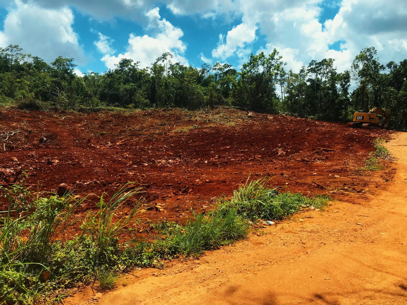 Twelfth image of Windsor Forest in Ellen Street, Manchester, Jamaica - property is For Sale