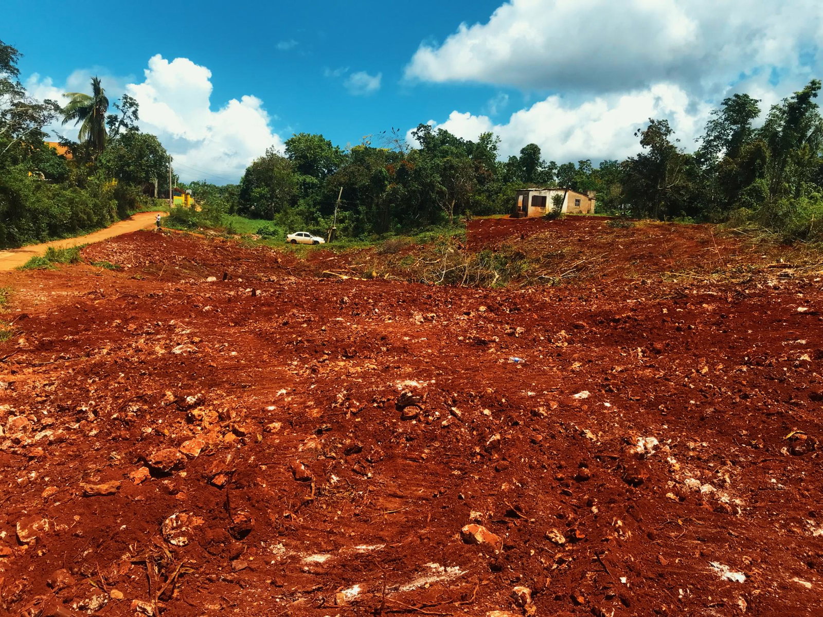 Twentieth image of Windsor Forest in Ellen Street, Manchester, Jamaica - property is For Sale