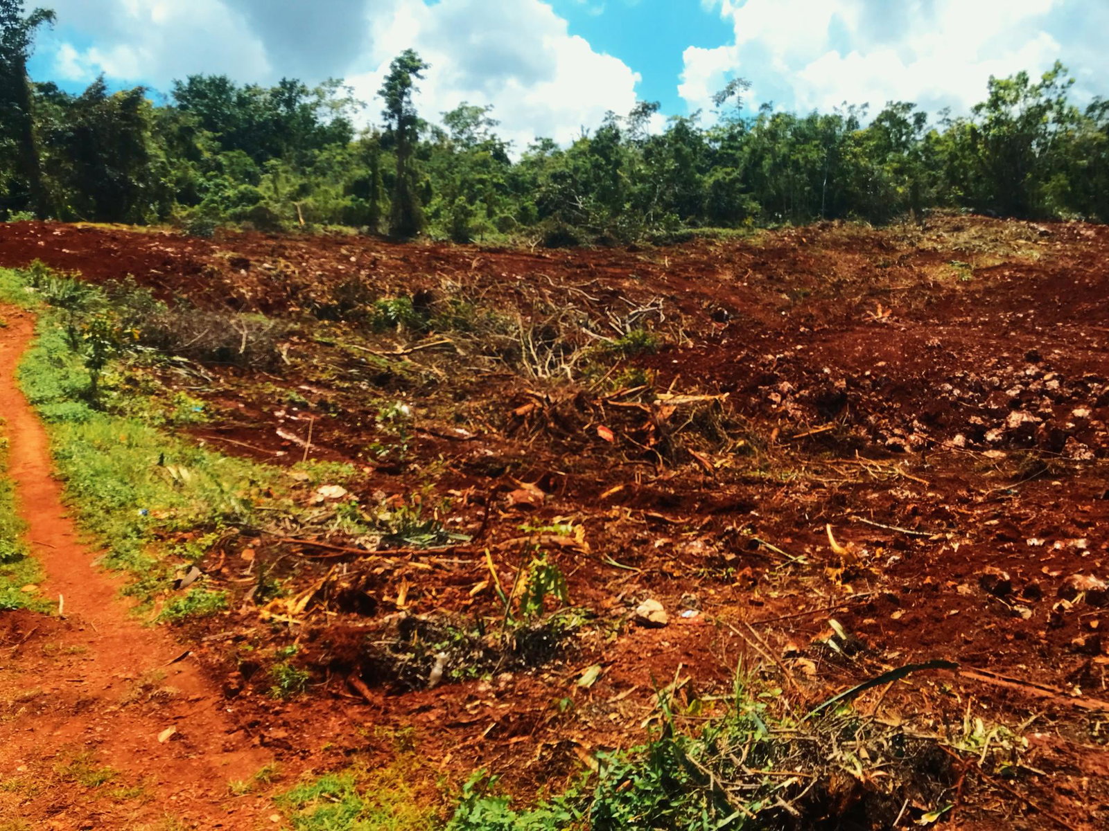 Twenty-Second image of Windsor Forest in Ellen Street, Manchester, Jamaica - property is For Sale