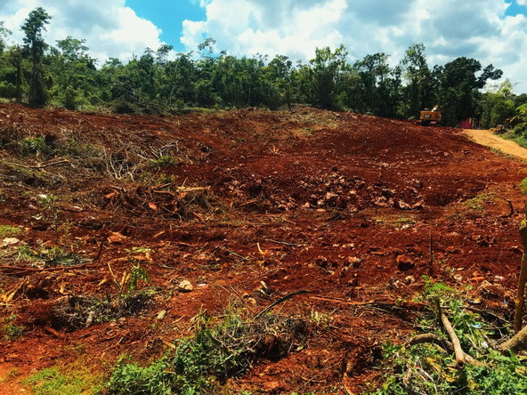 Twenty-Third image of Windsor Forest in Ellen Street, Manchester, Jamaica - property is For Sale