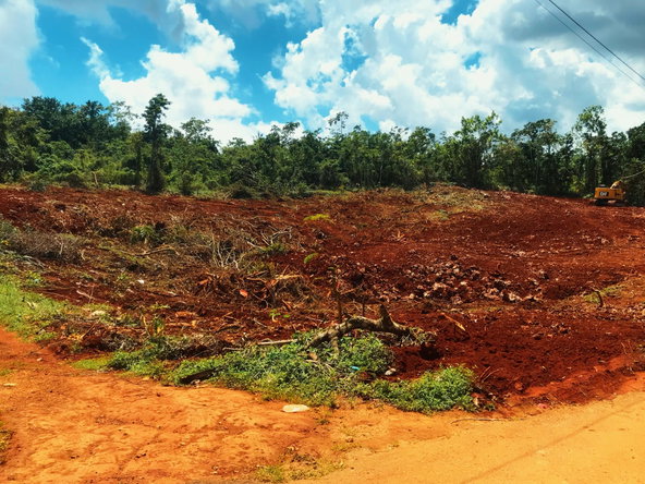 Seventh image of Windsor Forest in Ellen Street, Manchester, Jamaica - property is For Sale
