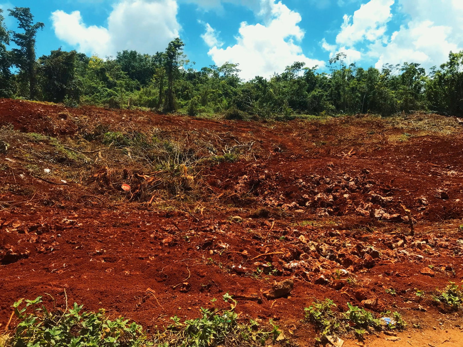 Eighth image of Windsor Forest in Ellen Street, Manchester, Jamaica - property is For Sale