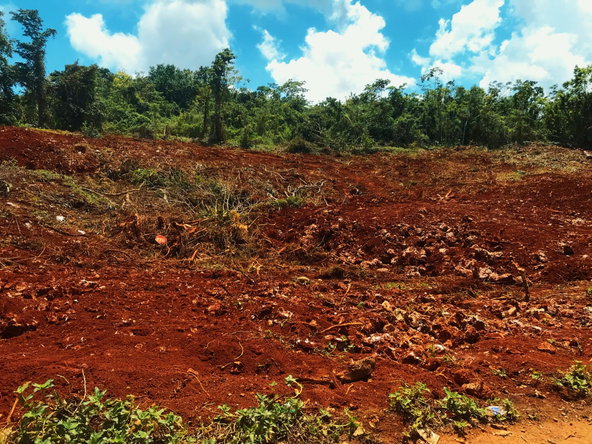 Eighth image of Windsor Forest in Ellen Street, Manchester, Jamaica - property is For Sale