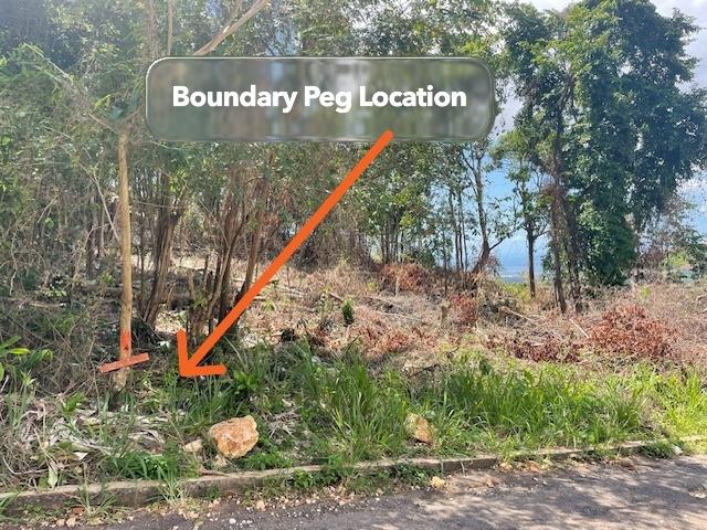 Tenth image of 132 Hydra Drive, Smokeyvale in Kingston 19, St. Andrew, Jamaica - property is For Sale