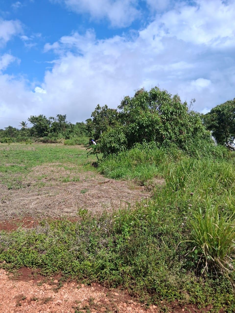 Twenty-Third image of Malvern Chase, Southfield in Southfield, St. Elizabeth, Jamaica - property is For Sale