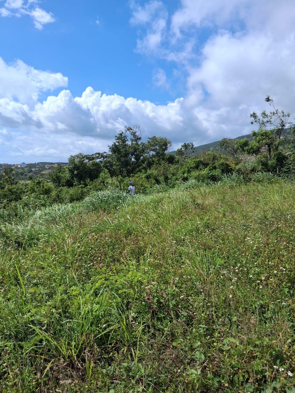 Twenty-Fourth image of Malvern Chase, Southfield in Southfield, St. Elizabeth, Jamaica - property is For Sale